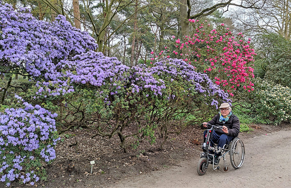 Im Rhododendron-Park Bremen am 28. April mit Helmut Hafner